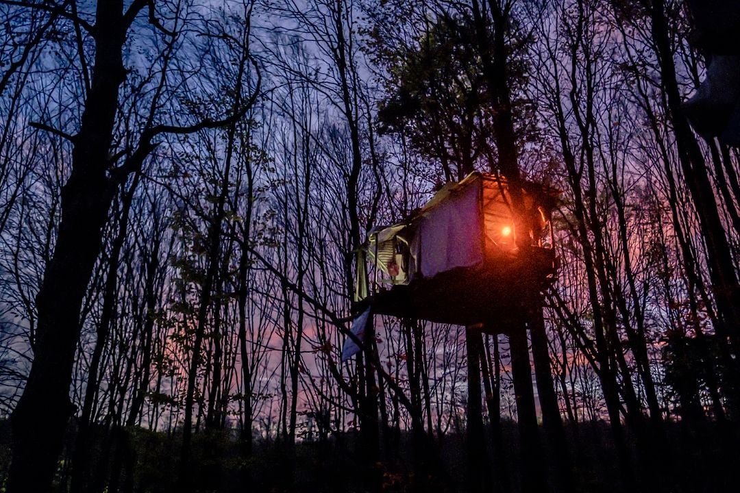 Barrikade - Bilder einer Waldbesetzung : Bild