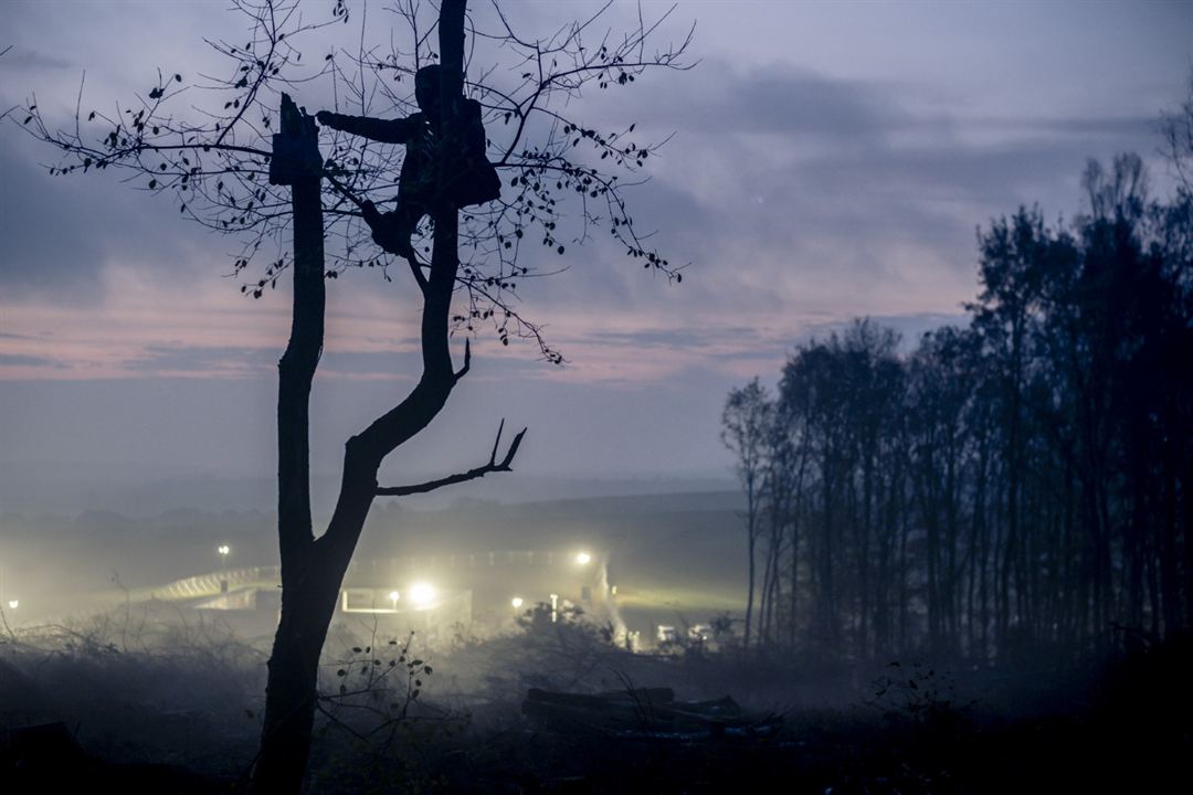 Barrikade - Bilder einer Waldbesetzung : Bild