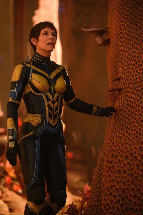 Ant-Man And The Wasp: Quantumania : Bild Evangeline Lilly