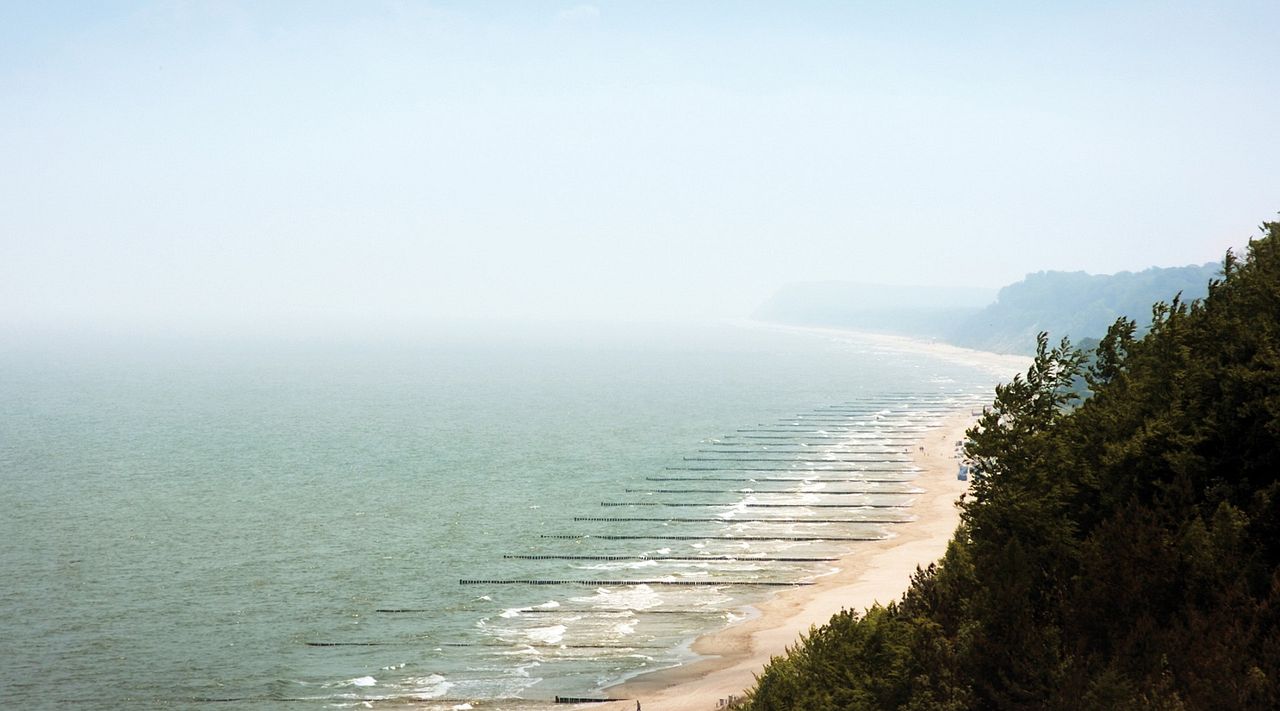 Gehen und Bleiben : Bild