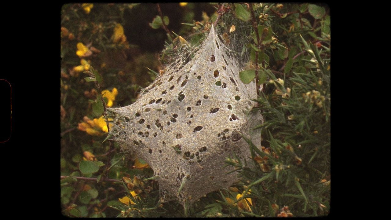 Poznámky z Eremocénu : Bild
