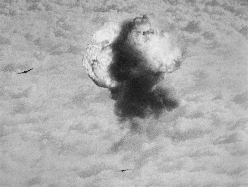 Luftkrieg - Die Naturgeschichte der Zerstörung : Bild