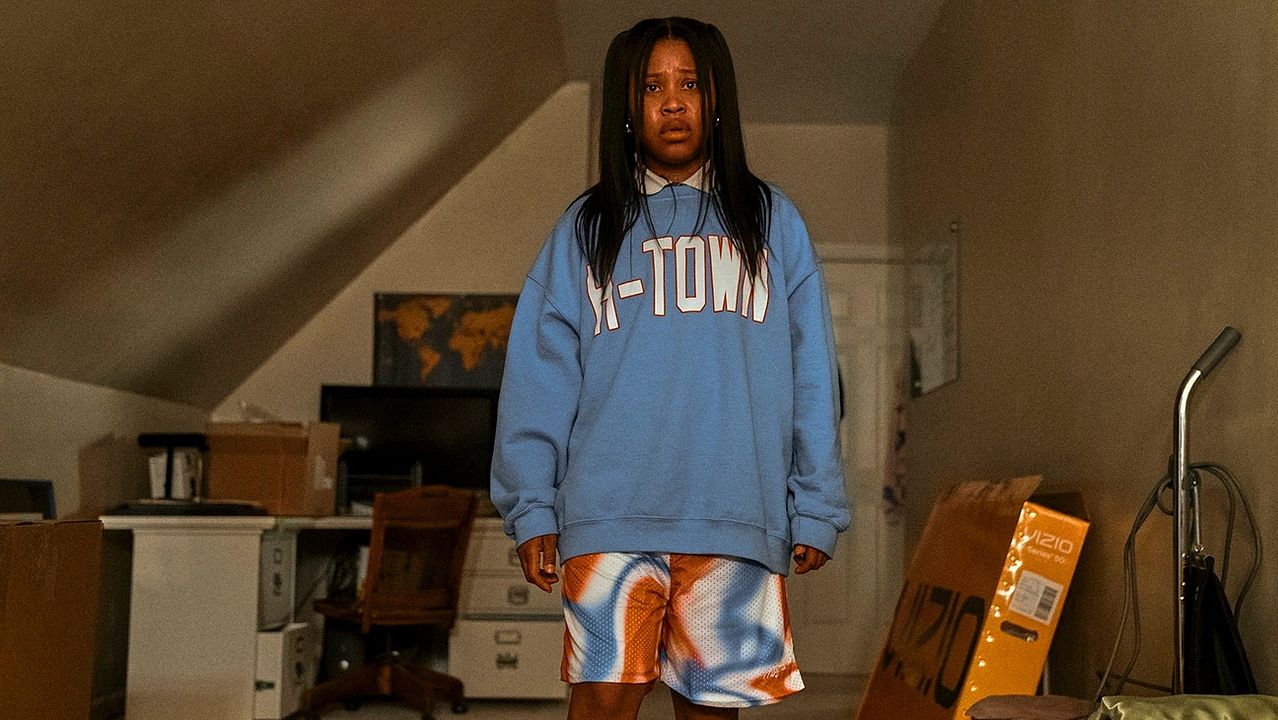 Bienenschwarm : Bild