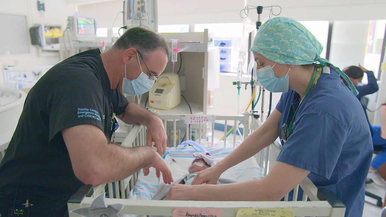 Emergency: NYC : Bild