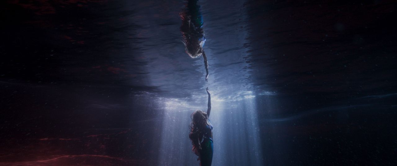 Arielle, die Meerjungfrau : Bild Halle Bailey