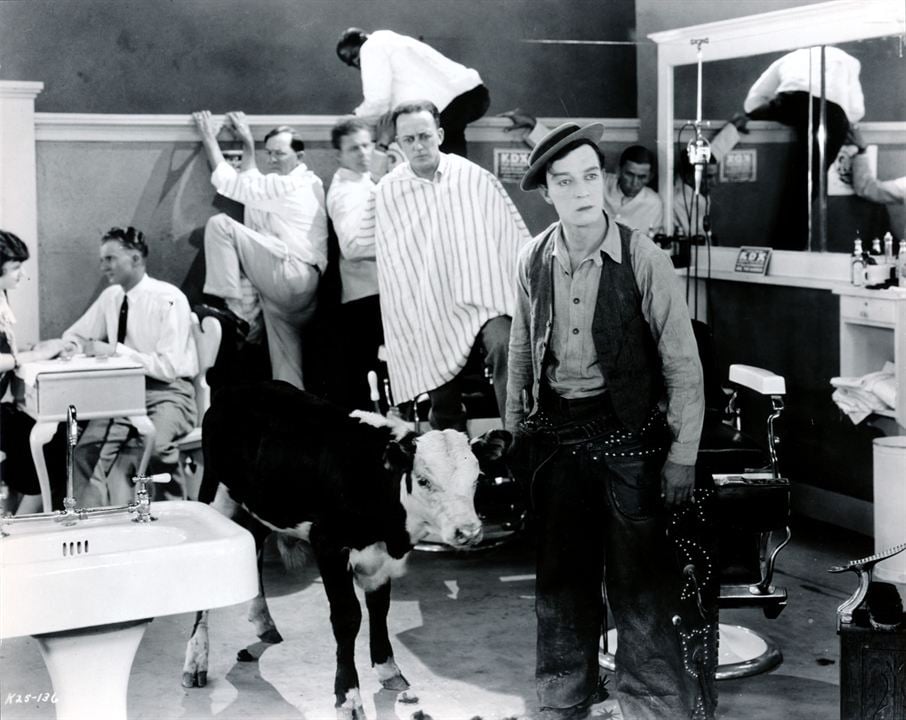 Buster Keaton-Der Cowboy : Bild