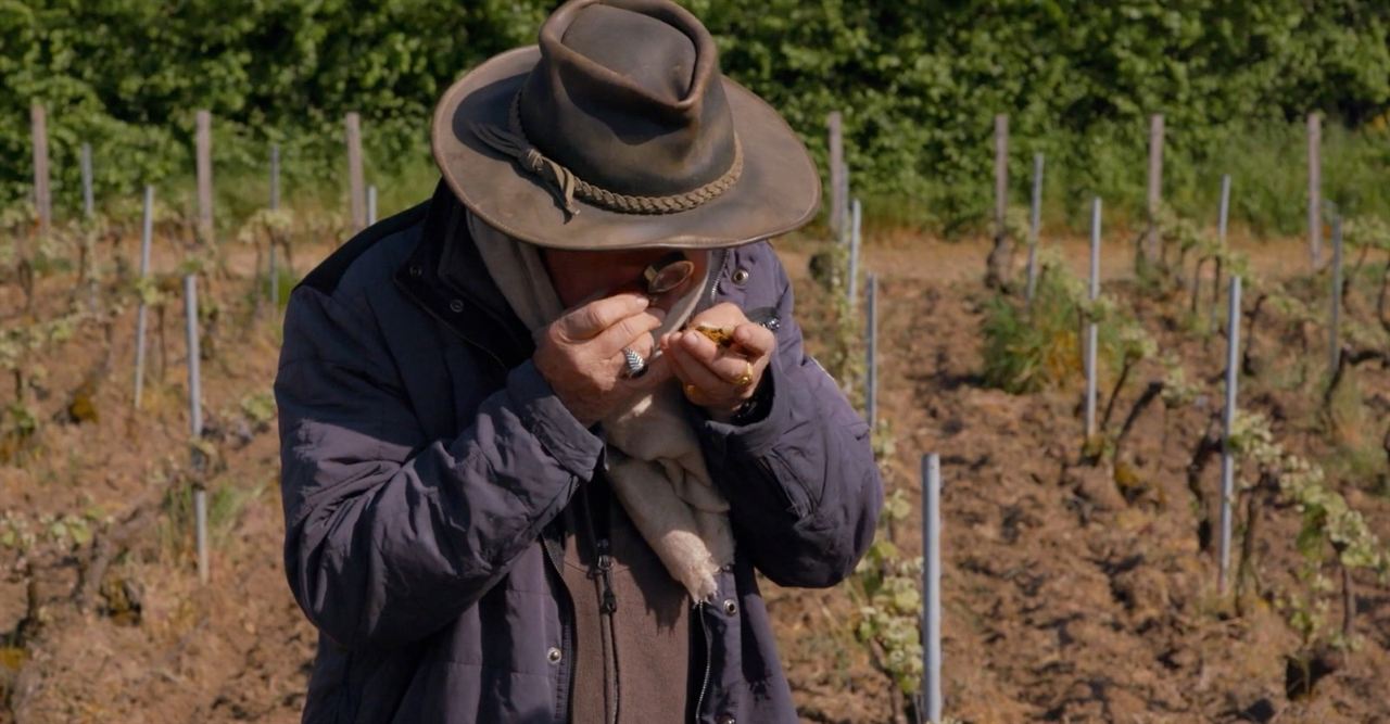 Terroir - Eine genussvolle Reise in die Welt des Weins : Bild