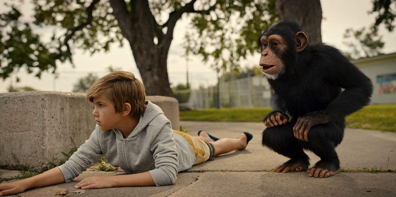 Janes tierische Abenteuer : Bild Mason Blomberg