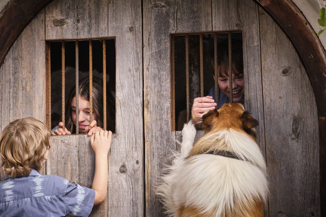 Lassie - Ein neues Abenteuer : Bild Pelle Staacken, Nico Marischka, Anna Lucia Gualano
