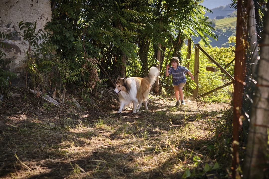 Lassie - Ein neues Abenteuer : Bild Pelle Staacken