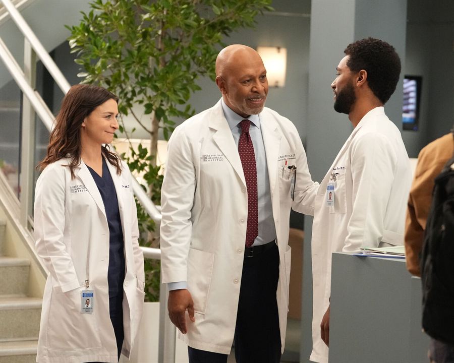 Grey's Anatomy - Die jungen Ärzte : Bild Caterina Scorsone, James Pickens Jr., Anthony Hill