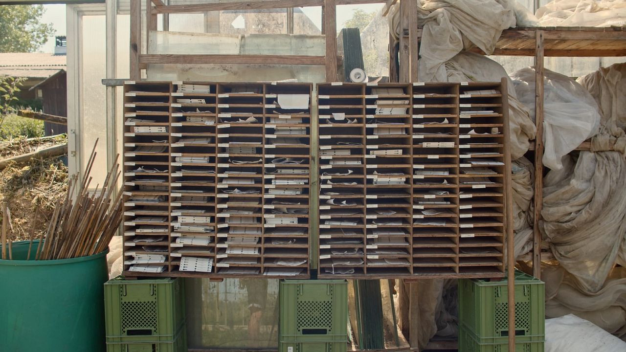 Ernte teilen - Anders Ackern für die Zukunft : Bild