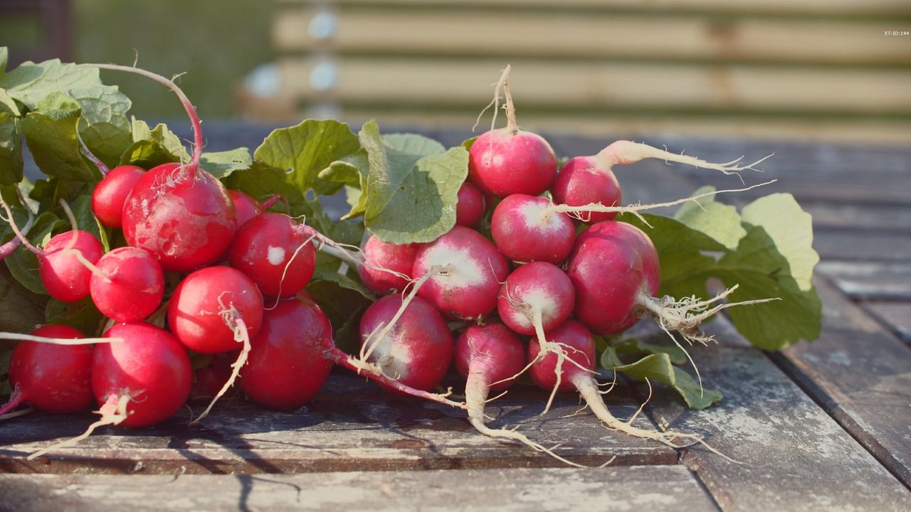 Ernte teilen - Anders Ackern für die Zukunft : Bild