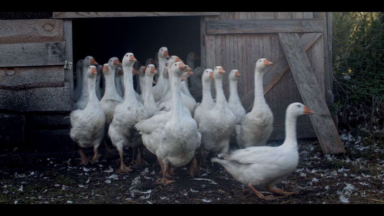 Ernte teilen - Anders Ackern für die Zukunft : Bild