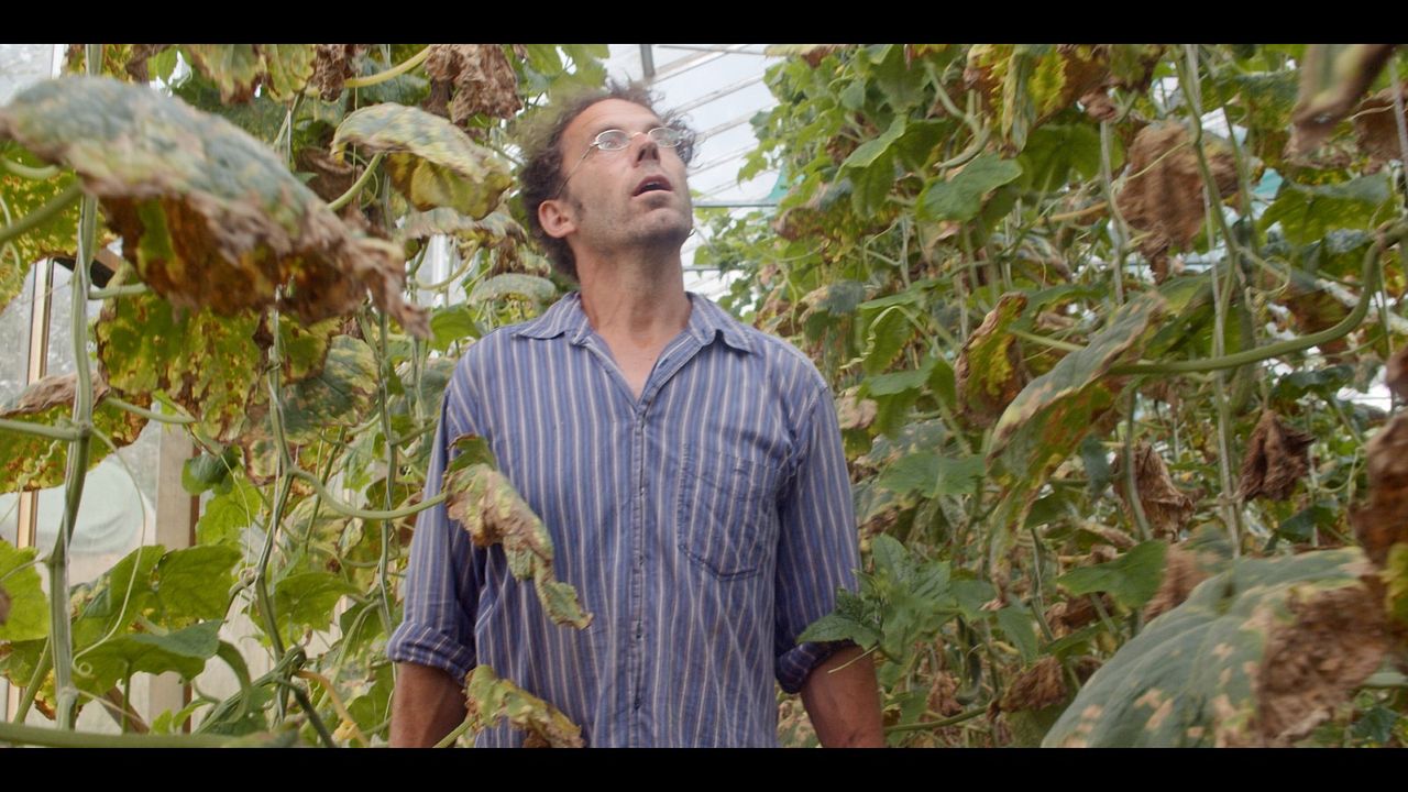 Ernte teilen - Anders Ackern für die Zukunft : Bild