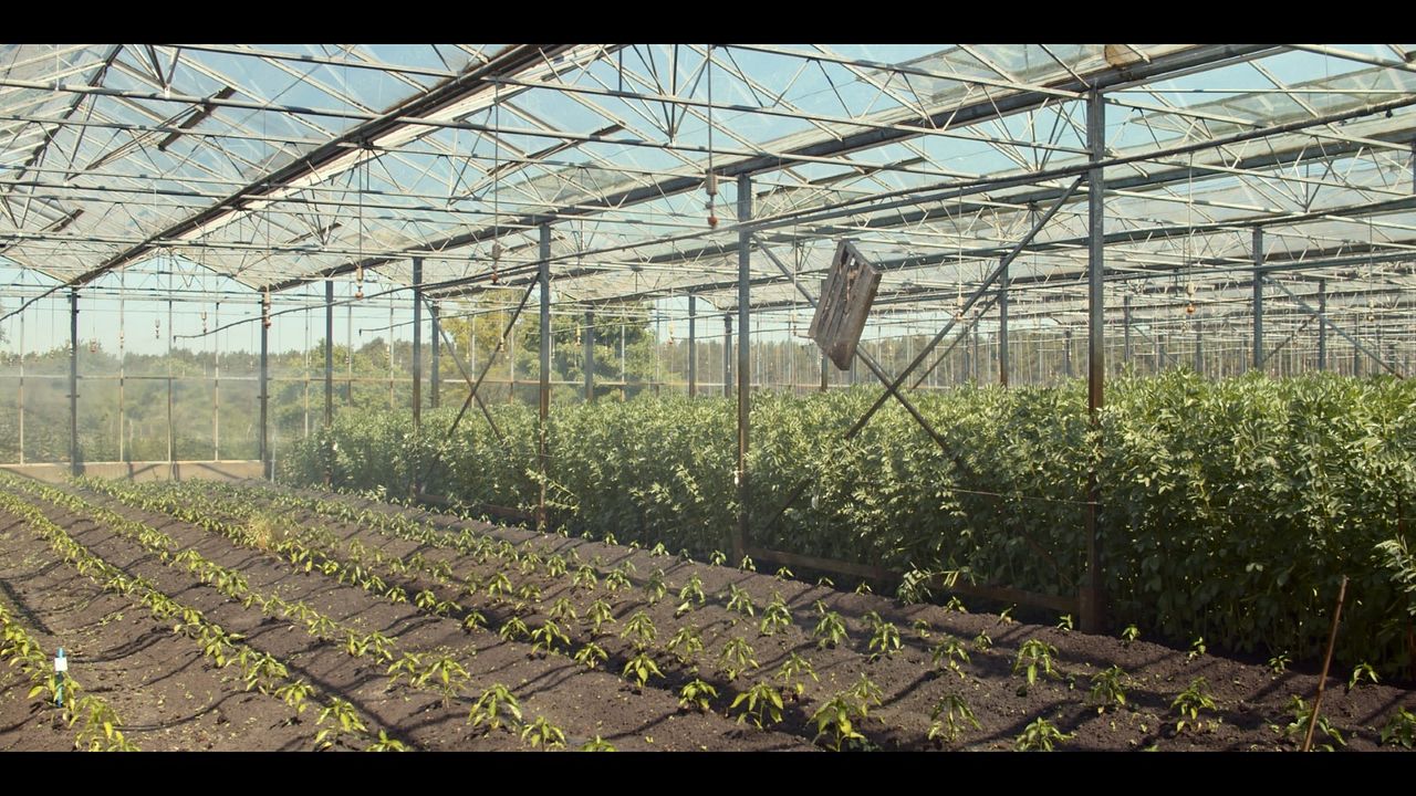 Ernte teilen - Anders Ackern für die Zukunft : Bild