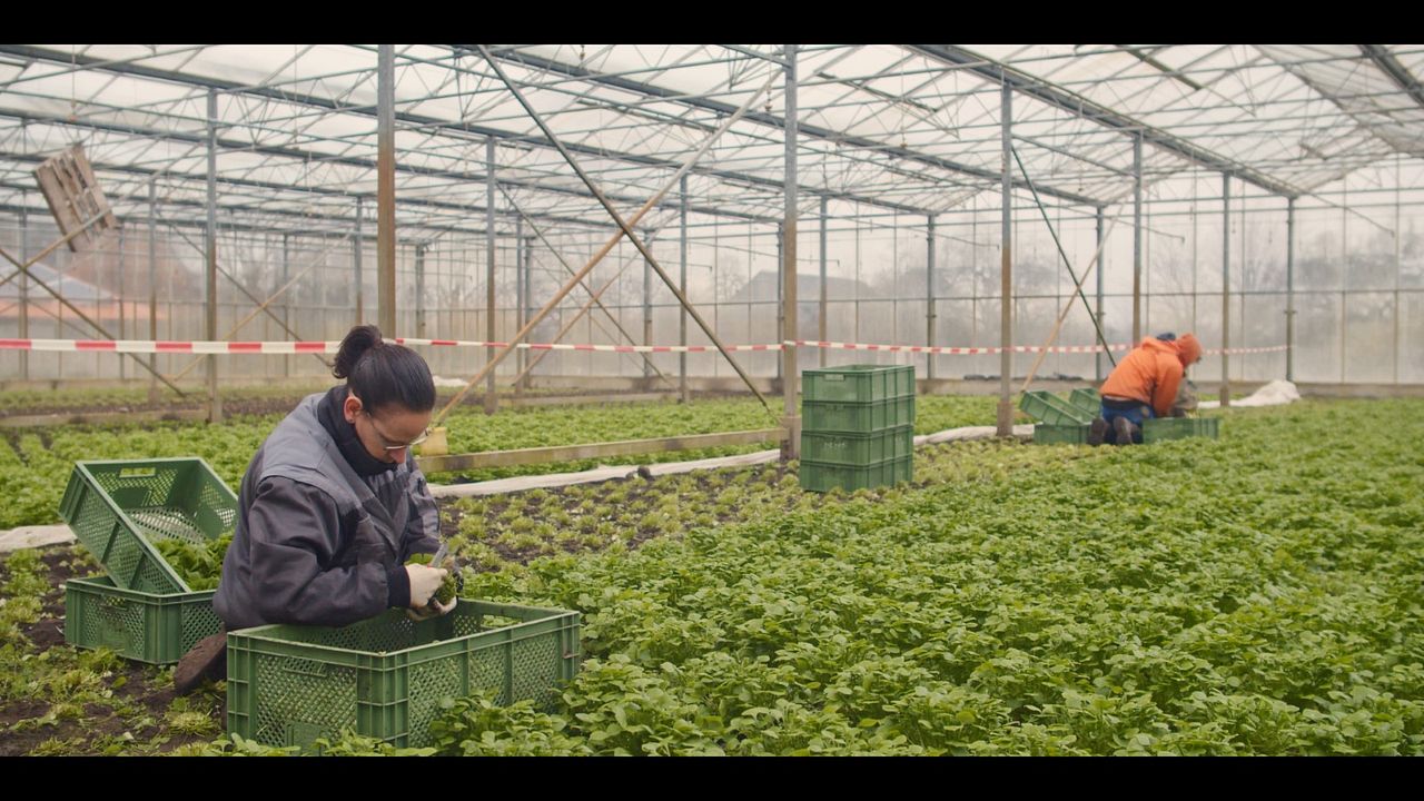 Ernte teilen - Anders Ackern für die Zukunft : Bild