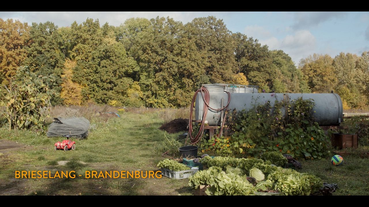 Ernte teilen - Anders Ackern für die Zukunft : Bild