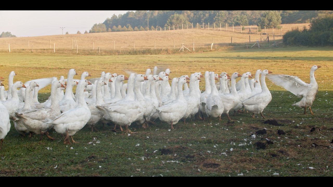 Ernte teilen - Anders Ackern für die Zukunft : Bild