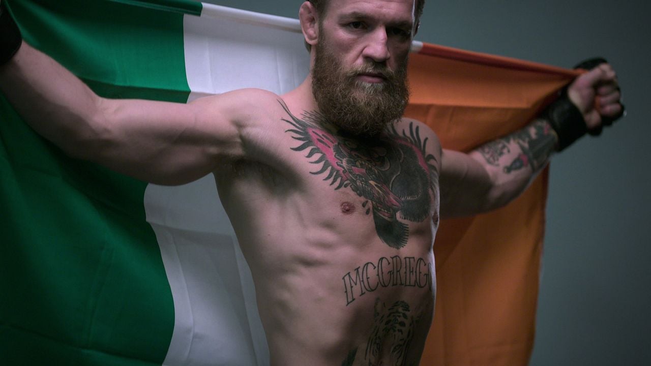 Bild Conor McGregor