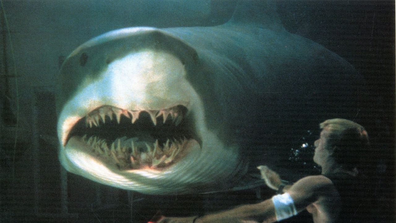 Deep Blue Sea : Bild