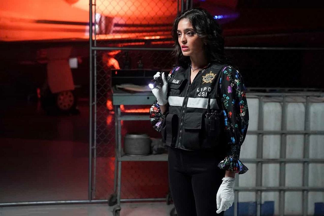 CSI: Vegas : Bild Mandeep Dhillon