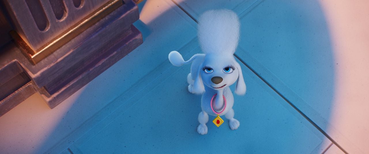 Paw Patrol: Der Mighty Kinofilm : Bild