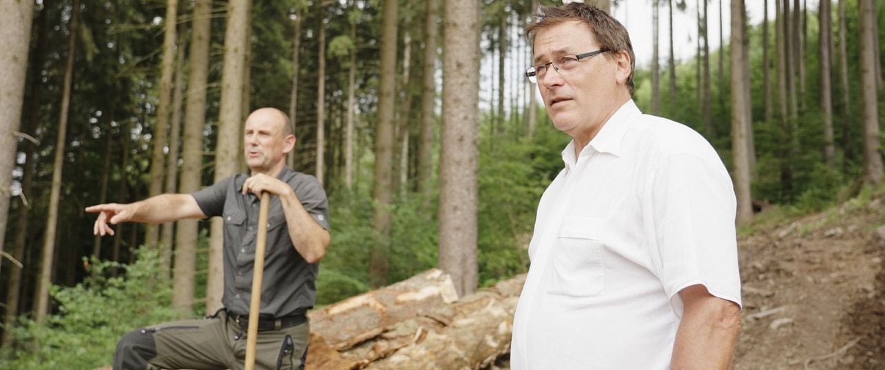 Arena 196 - Zwischen Wende, Wahl und Wirklichkeit : Bild