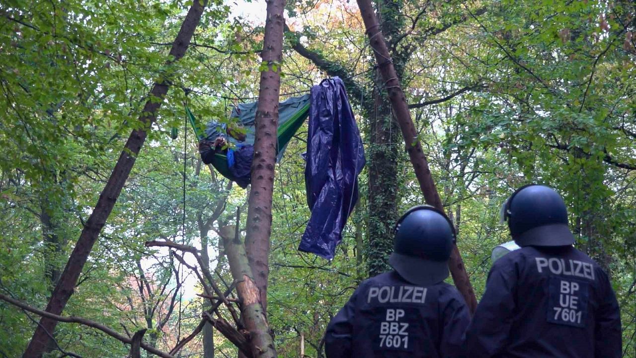 Vergiss Meyn Nicht : Bild