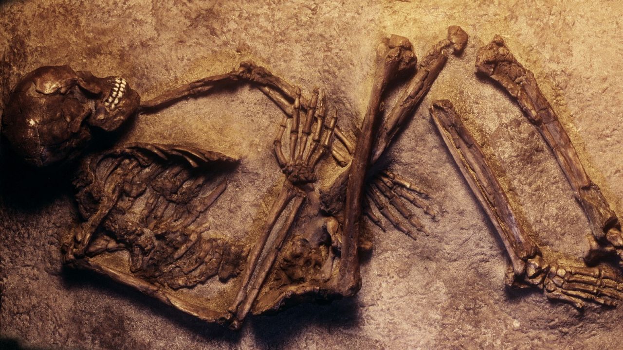 Unbekannt: Die Knochenhöhle : Bild