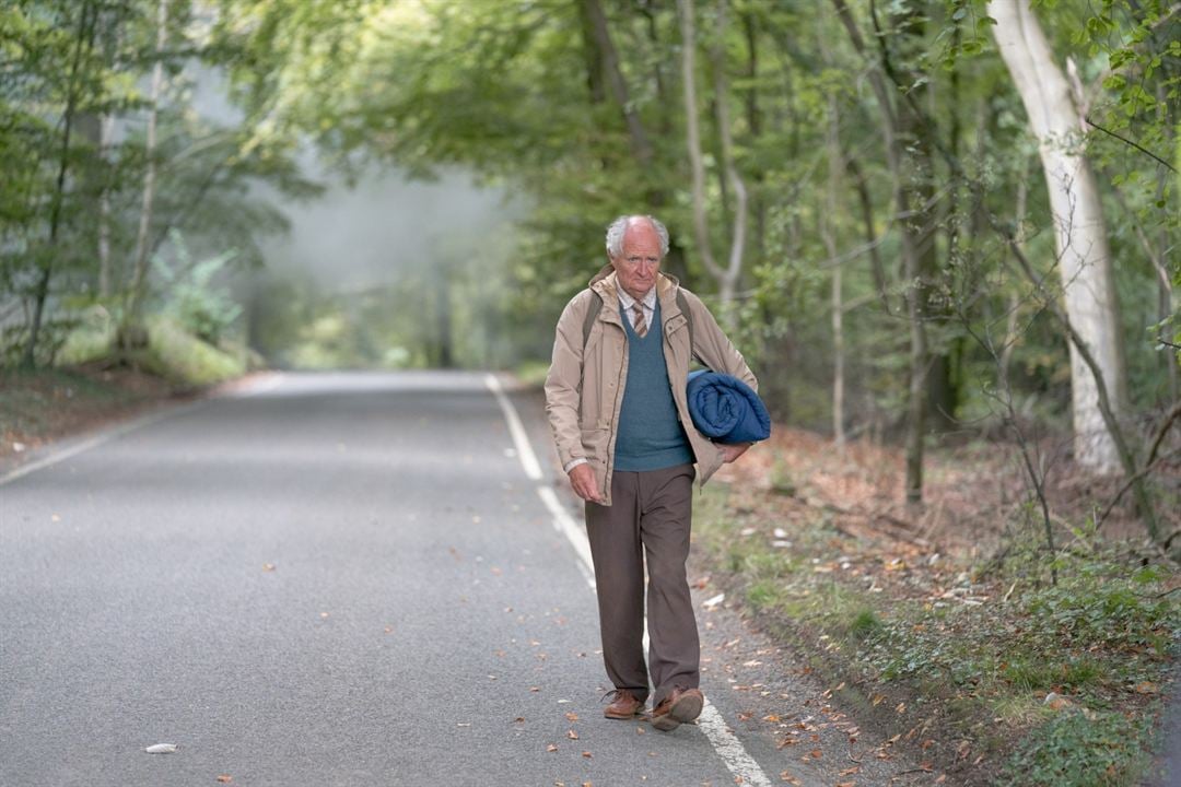 Die unwahrscheinliche Pilgerreise des Harold Fry : Bild