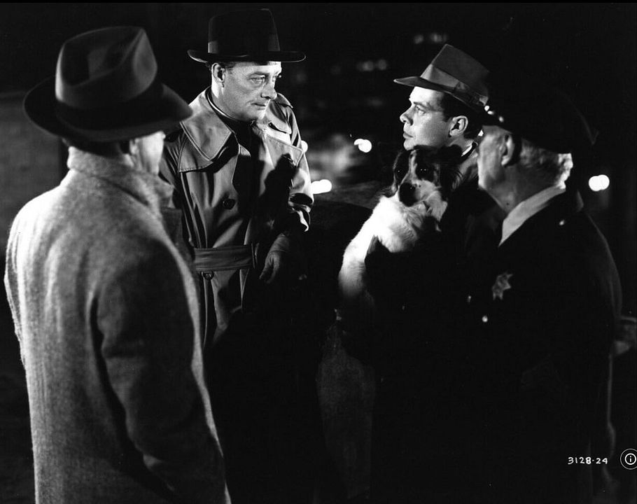 Einer weiß zuviel : Bild Robert Keith