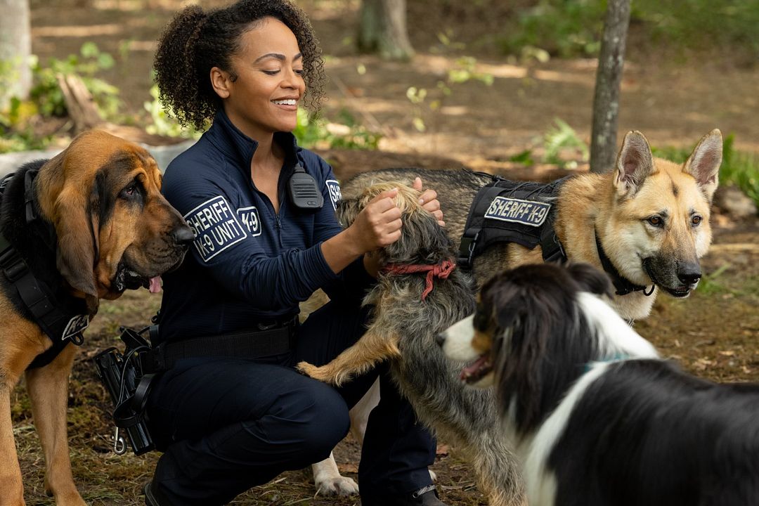 Doggy Style: Dieser Sommer kommt von hinten : Bild