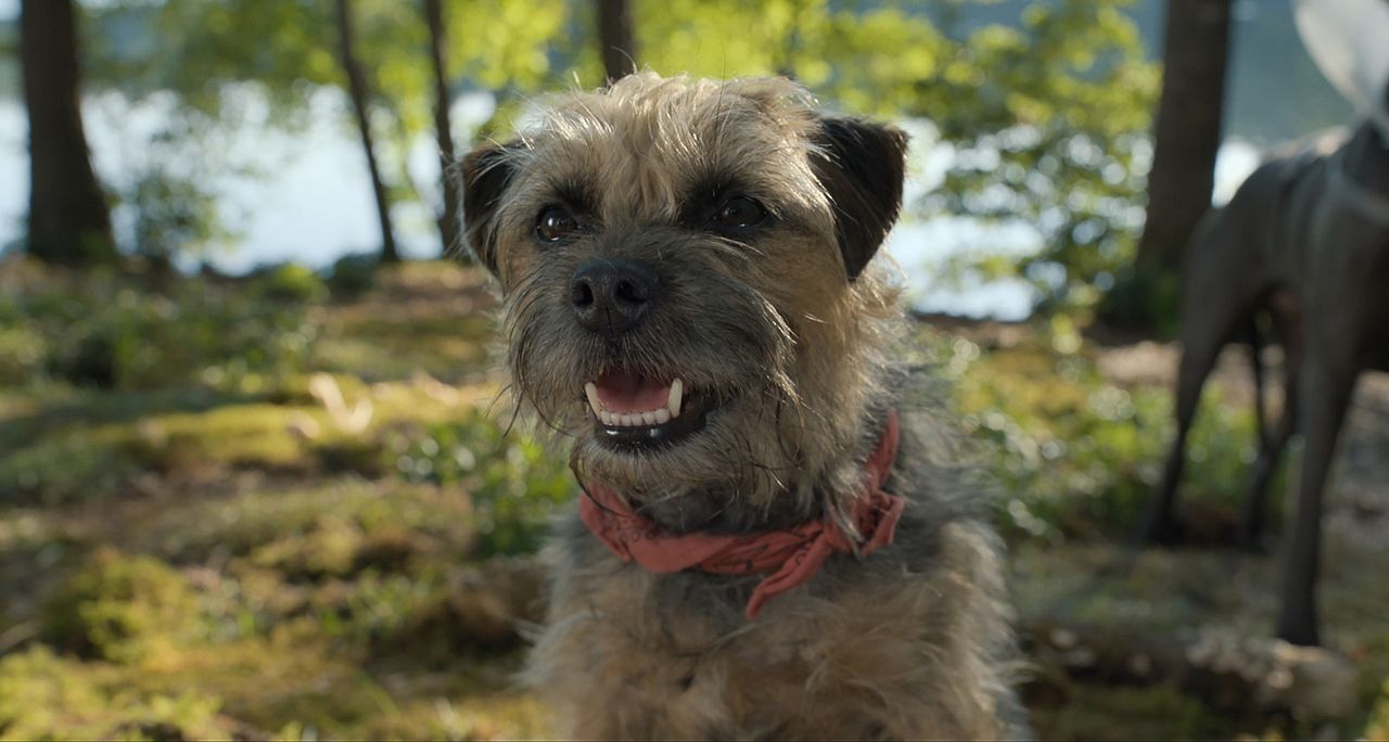 Doggy Style: Dieser Sommer kommt von hinten : Bild