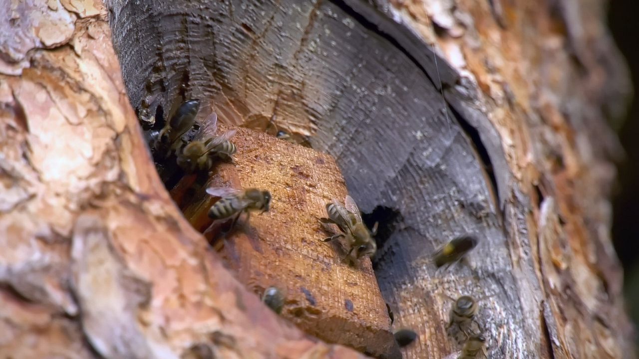 Menschen & Tiere : Bild