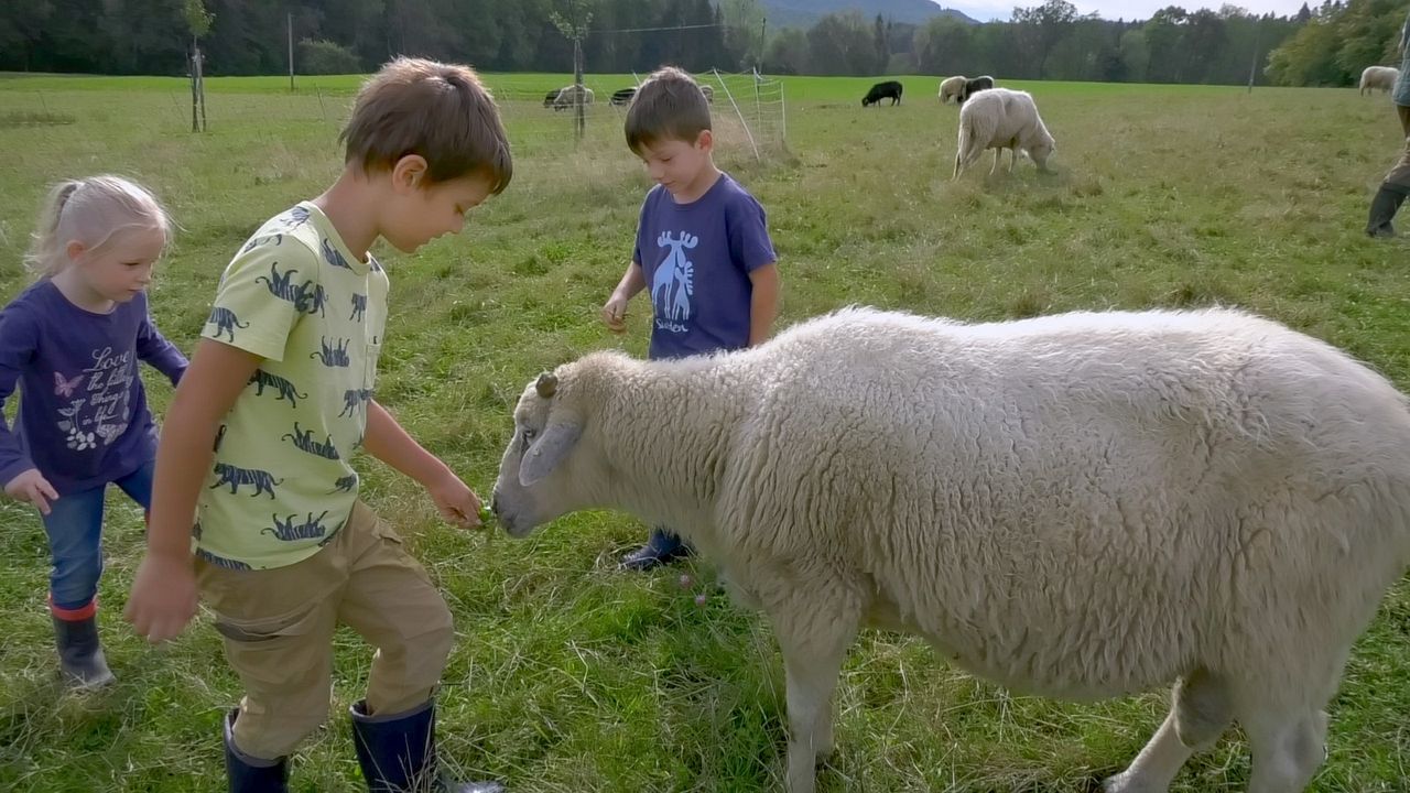 Menschen & Tiere : Bild