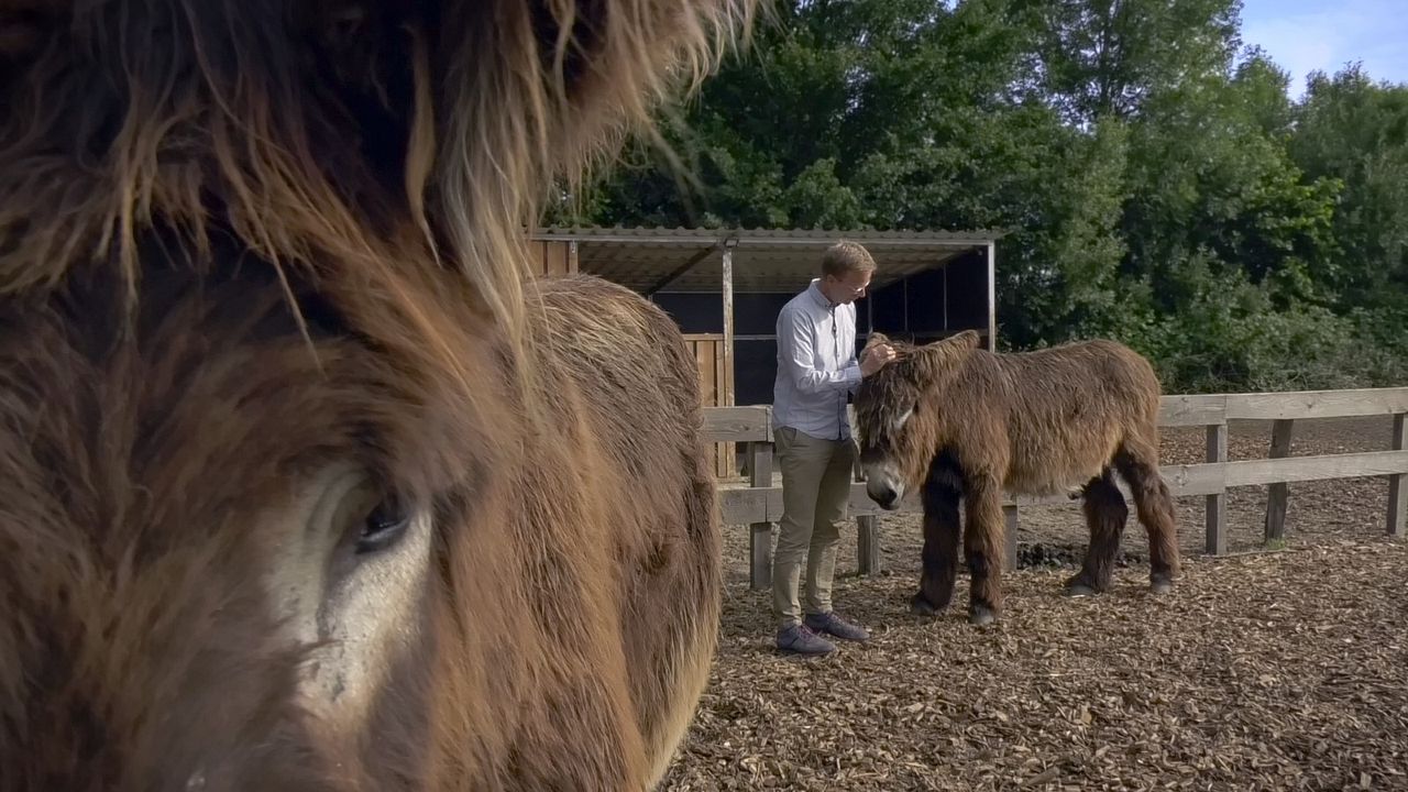 Menschen & Tiere : Bild
