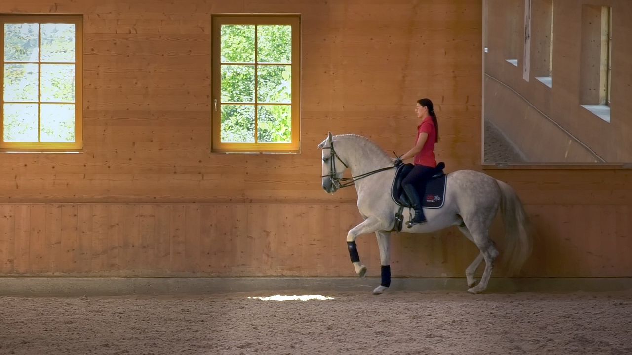 Menschen & Tiere : Bild
