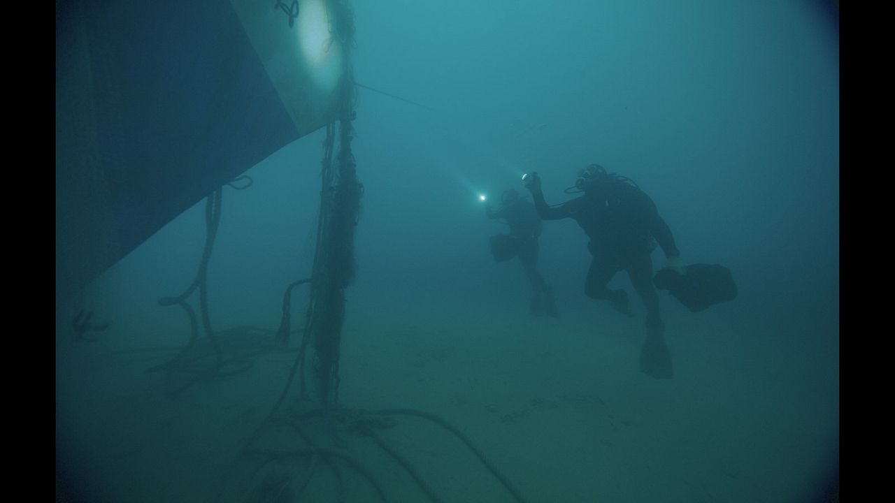 Deep Fear - Tauch um dein Leben! : Bild