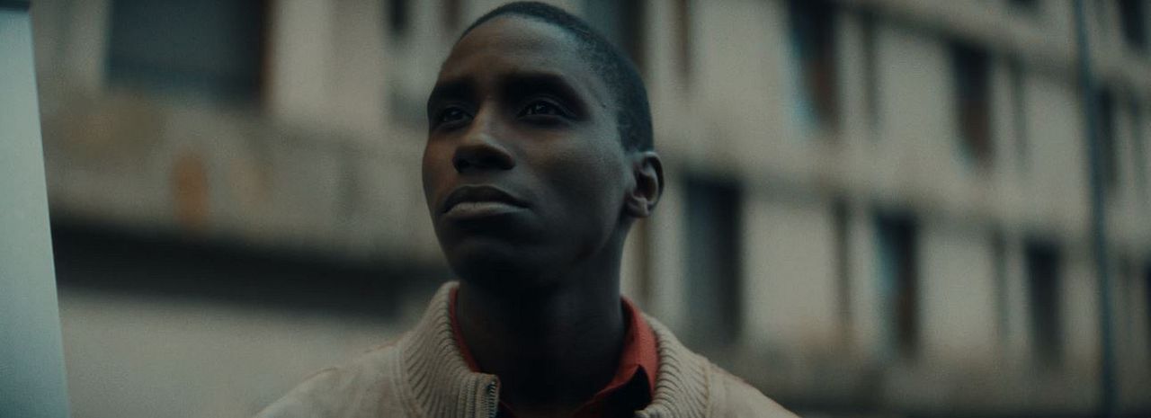 Coléoptère : Bild Birane Ba