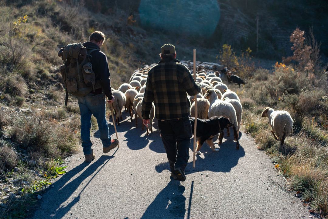 Vivre avec les loups : Bild