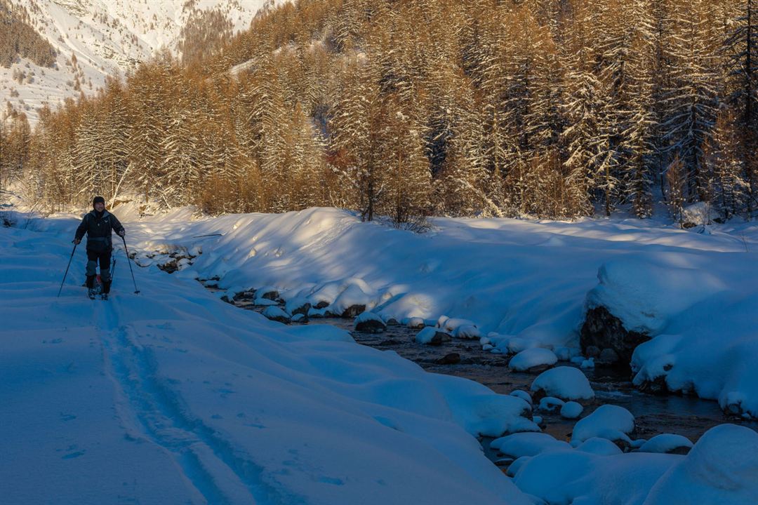 Vivre avec les loups : Bild