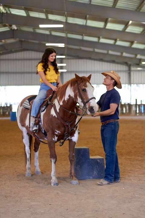 Charlies Pferd – Das Herz eines Champions : Bild