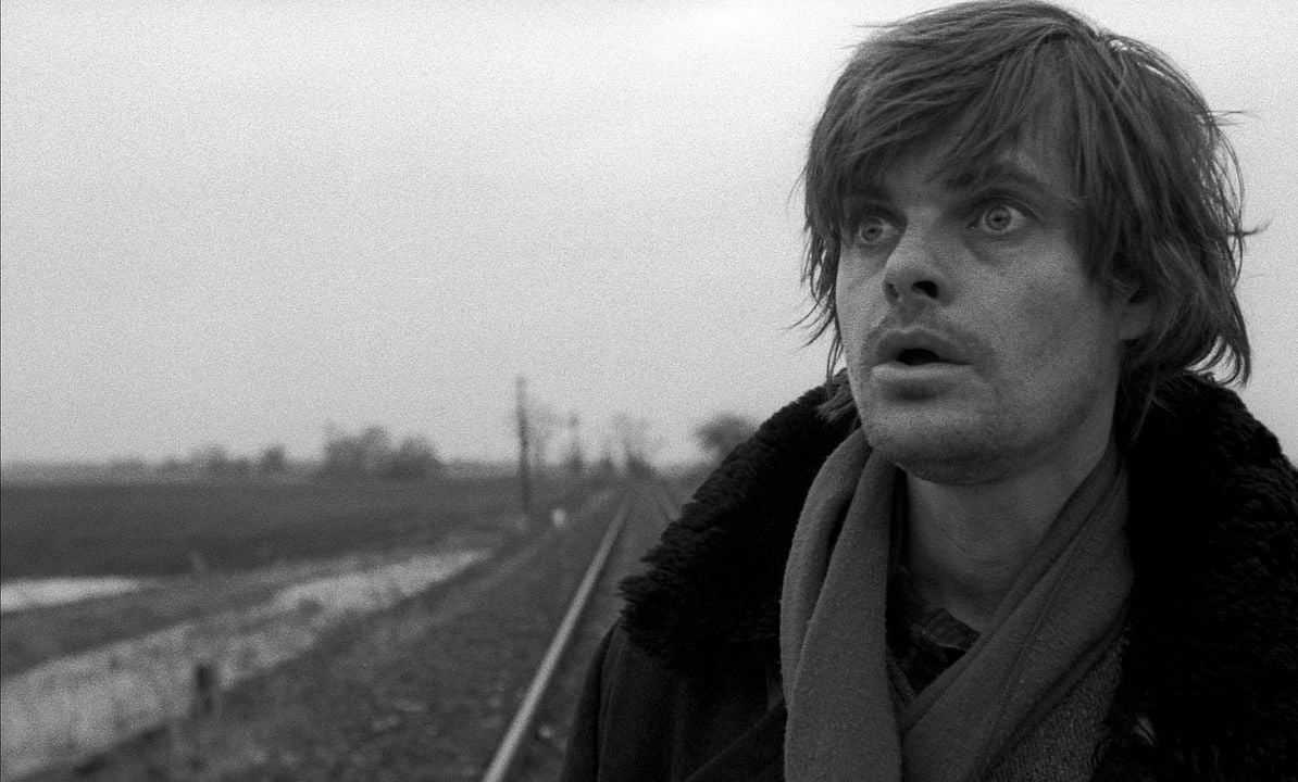 Die Werckmeisterschen Harmonien : Bild