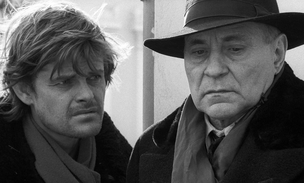 Die Werckmeisterschen Harmonien : Bild