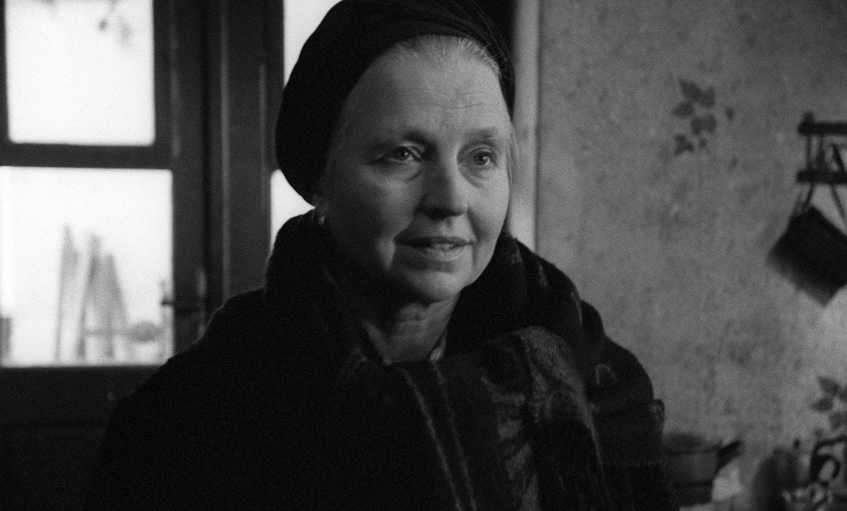 Die Werckmeisterschen Harmonien : Bild