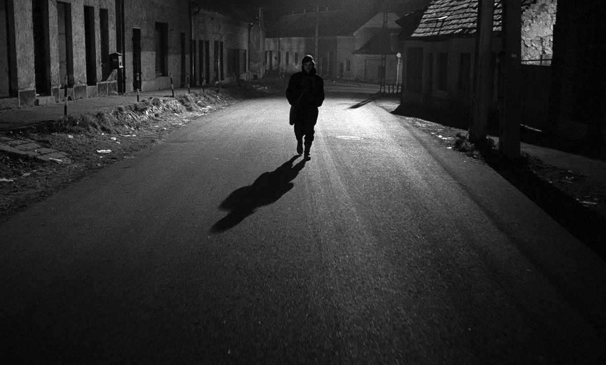 Die Werckmeisterschen Harmonien : Bild