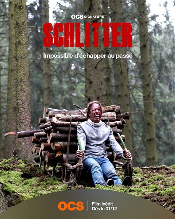 Schlitter - Evil In The Woods : Kinoposter