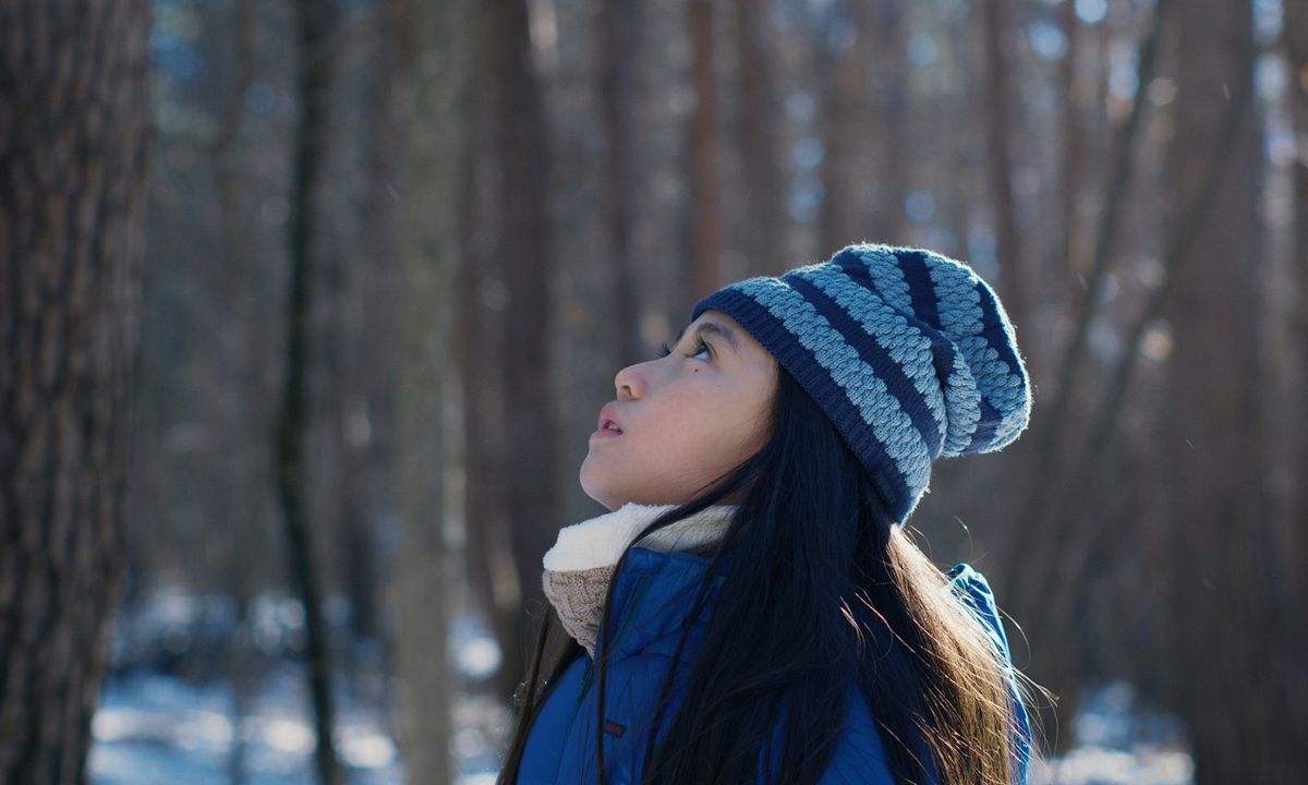 Evil Does Not Exist : Bild