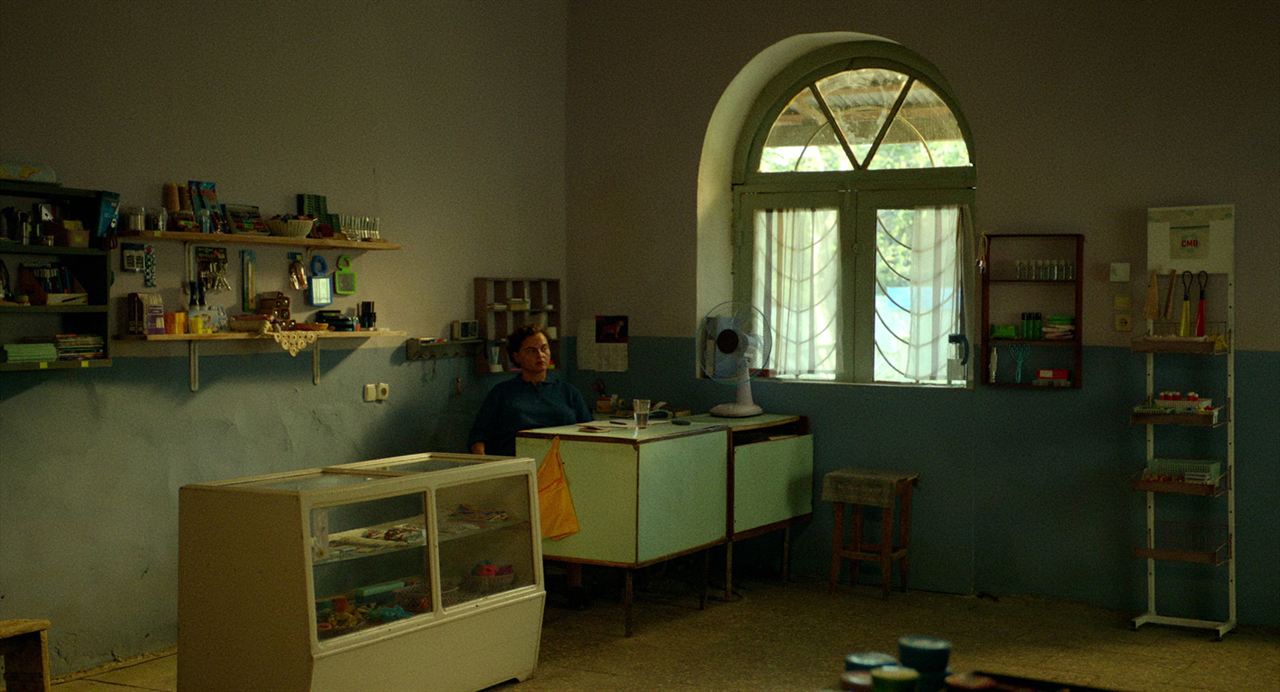 Amsel im Brombeerstrauch : Bild Eka Chavleishvili